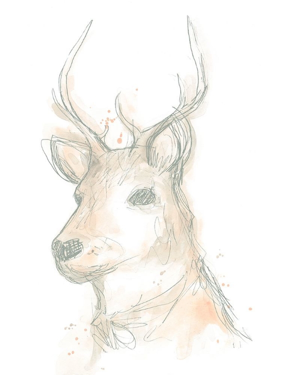 Picture of DEER CAMEO III