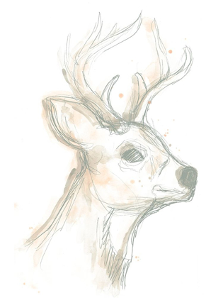 Picture of DEER CAMEO IV