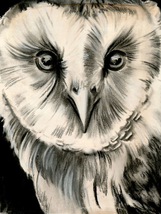 Picture of CHARCOAL OWL II
