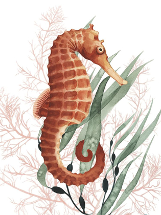 Picture of SEAHORSE TREASURES I