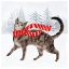 Picture of CHRISTMAS CATS AND DOGS I