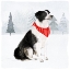 Picture of CHRISTMAS CATS AND DOGS II