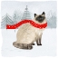 Picture of CHRISTMAS CATS AND DOGS III