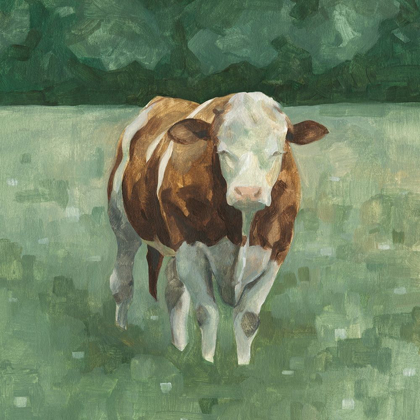 Picture of HEREFORD CATTLE II