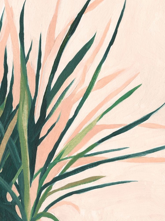 Picture of FROND IMPRESSION II