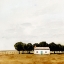 Picture of LATE JULY I