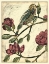 Picture of VICTORIAN SERENADE I