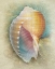 Picture of AQUATICA III