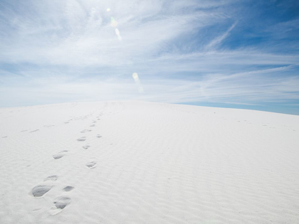 Picture of WHITE DUNES I