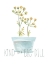 Picture of PUNNY PLANT III