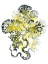 Picture of CITRON SEA KELP I