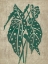 Picture of VINTAGE GREENERY II