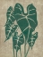 Picture of VINTAGE GREENERY III