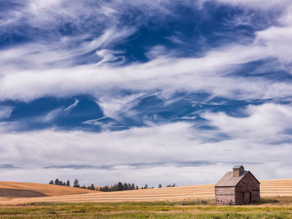 Picture of FARM AND FIELD I