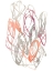 Picture of CONNECTED ORBITS II