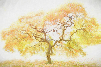 Picture of GOLDEN TREE