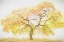 Picture of GOLDEN TREE