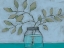Picture of JAR OF STEMS II
