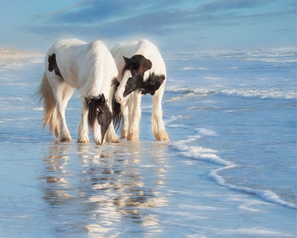 Picture of WATER HORSES I