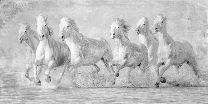 Picture of WATER HORSES V