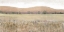 Picture of DRY HEAT II