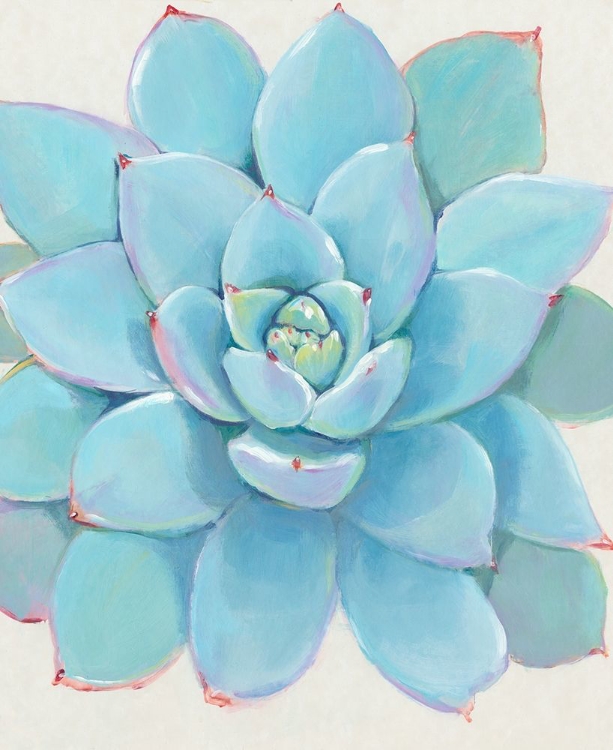 Picture of PASTEL SUCCULENT I