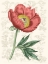 Picture of PEONY FLOWER GARDEN III