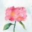 Picture of JOYFUL PEONY IV