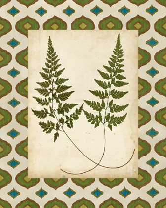Picture of MOROCCAN FERNS I
