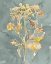 Picture of COLLECTED FLORALS I