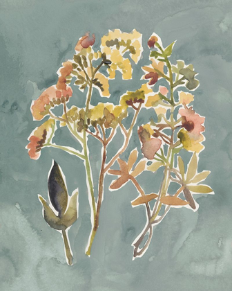 Picture of COLLECTED FLORALS IV