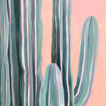 Picture of DESERT DAWN V