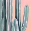 Picture of DESERT DAWN V
