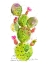 Picture of CACTUS VERSE III