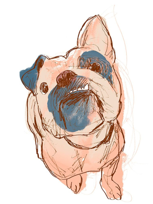 Picture of DOG PORTRAIT--BOBO