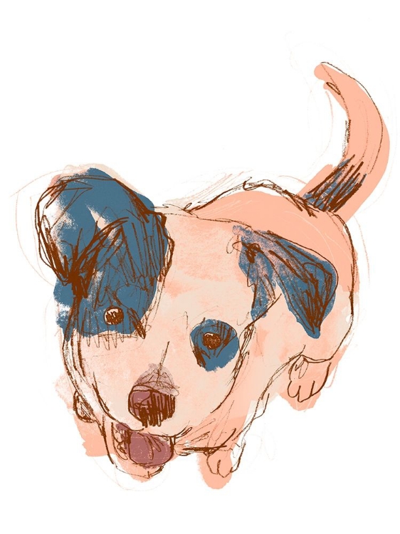 Picture of DOG PORTRAIT--MAISIE