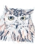 Picture of FUNKY OWL PORTRAIT III