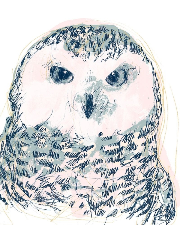 Picture of FUNKY OWL PORTRAIT IV