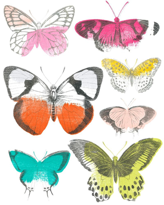 Picture of CHROMATIC BUTTERFLIES I