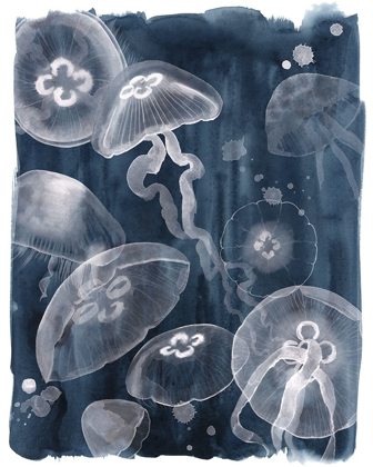 Picture of MOON JELLIES I