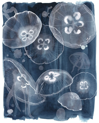 Picture of MOON JELLIES II
