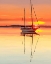 Picture of SAILING PORTRAIT V