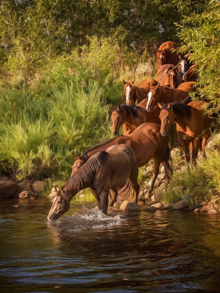 Picture of RIVER HORSES I