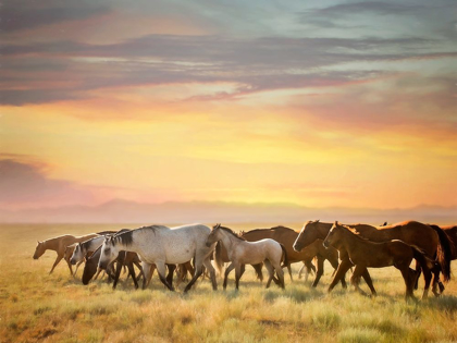 Picture of SUNKISSED HORSES I