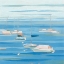 Picture of SUMMER REGATTA I