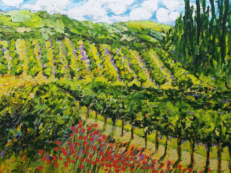 Picture of MOUNTAIN VINEYARD