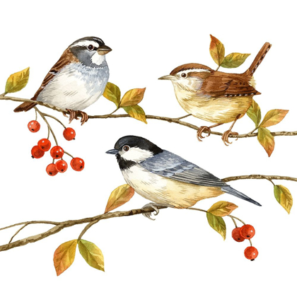 Picture of BIRDS AND BERRIES I