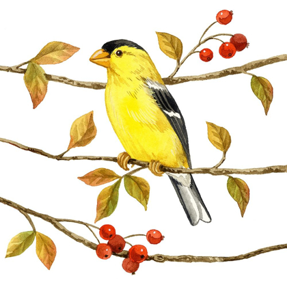 Picture of BIRDS AND BERRIES II