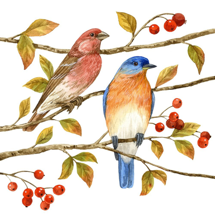 Picture of BIRDS AND BERRIES IV