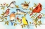 Picture of BIRDS AND BERRIES V